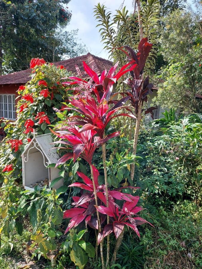 Robin Woods Homestay Sakleshpur Exterior photo