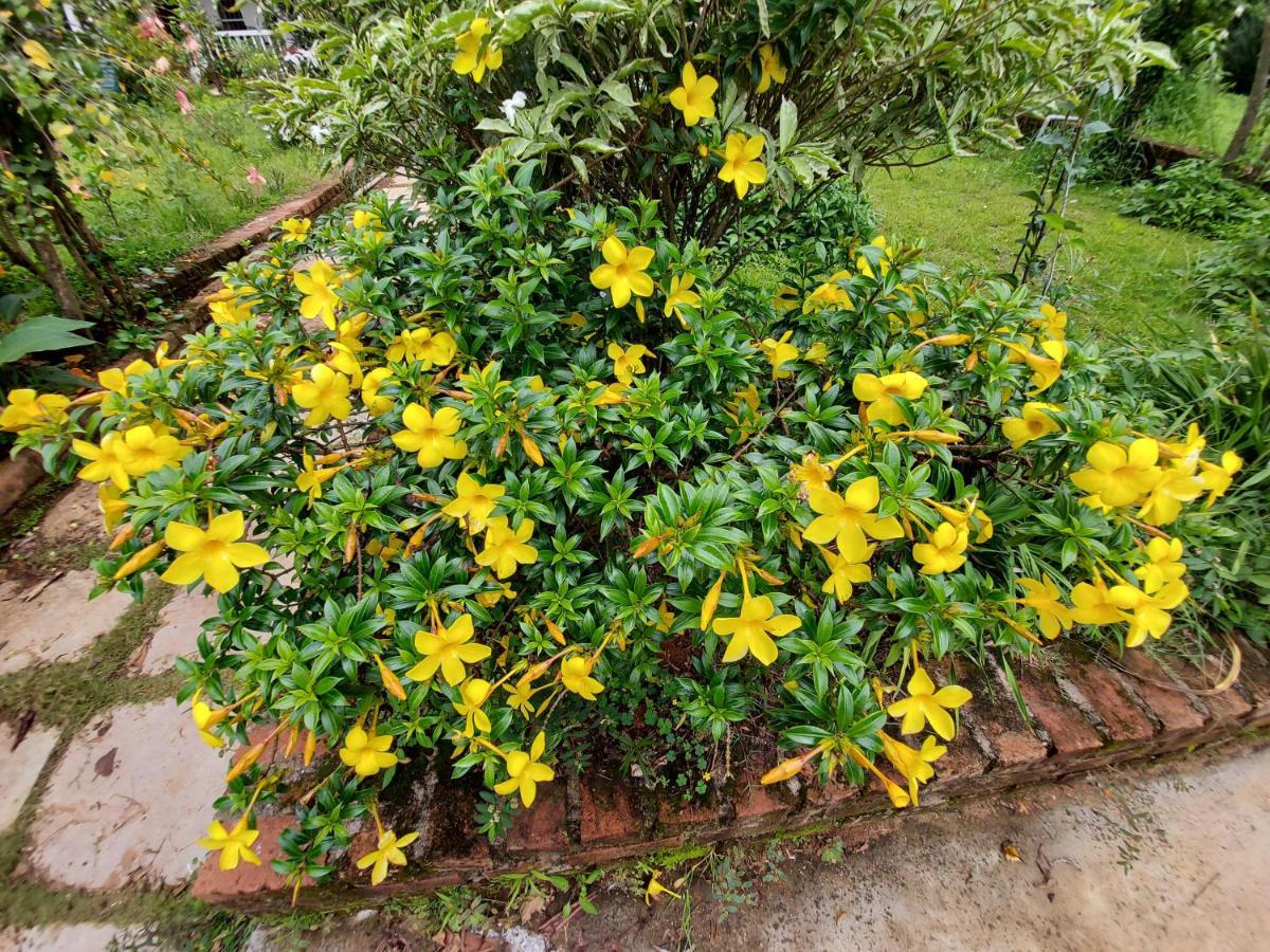 Robin Woods Homestay Sakleshpur Exterior photo